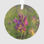 Fleur d'Alfalfa (dos)