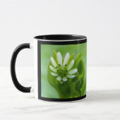 Fleur d'algues, Mug à cadre noir (Gauche)