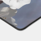 Fleur d'amande Nature Spring Modern Ajouter Votre (Coin)