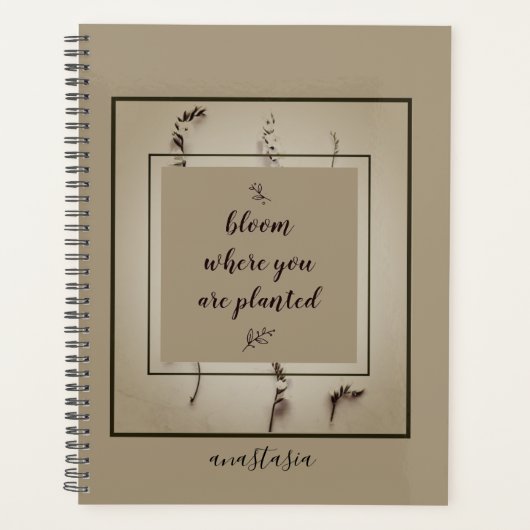 Fleur d'Anastasia verte tendance où planté (Devant)