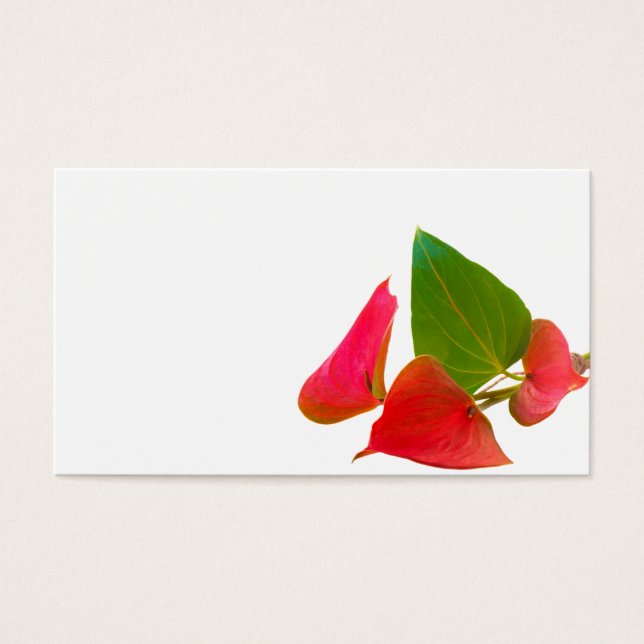 Fleur d'anthurium (Devant)