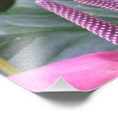 Fleur d'anthurium avec papillon 20"x16" Photo (Coin)