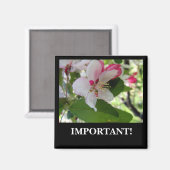 Fleur d'Apple | Magnet (Recto/Verso)