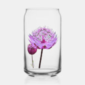 Fleur d'Astrantia rose Floral (Recto)