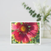 Fleur d'automne de carte postale (Debout devant)