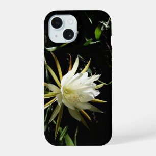 Fleur de cactus