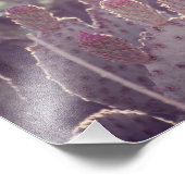 Fleur de cactus à poires | Impression photo (Coin)