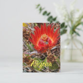 Fleur de cactus avec abeille, carte postale d'Ariz (Debout devant)