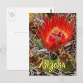 Fleur de cactus avec abeille, carte postale d'Ariz (Devant / Derrière)