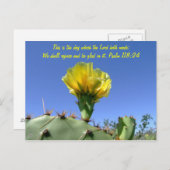 Fleur de cactus de carte postale (Devant / Derrière)