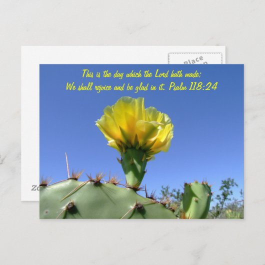 Fleur de cactus de carte postale (Devant / Derrière)