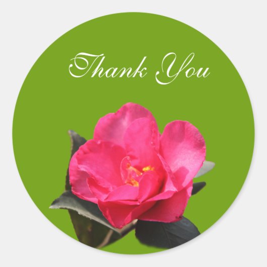 fleur de camélia rose merci stickers (Devant)