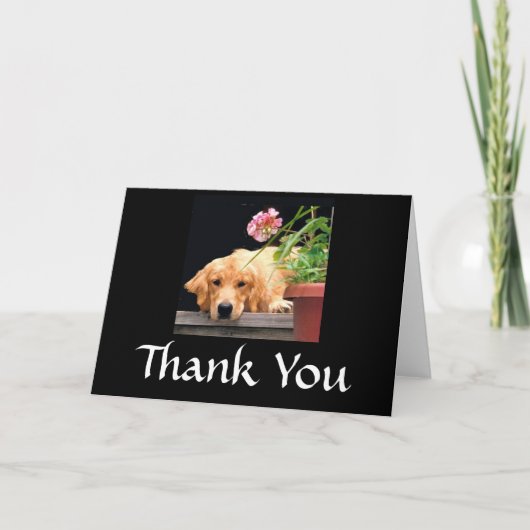 Fleur de Carte de remerciements Golden Retriever (Devant)
