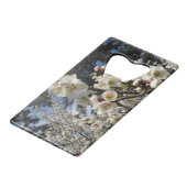 Fleur de cerisier blanc / Sakura / ク(桜) (Dos Angle)