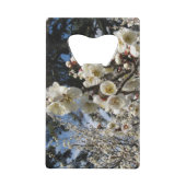 Fleur de cerisier blanc / Sakura / ク(桜) (Dos)
