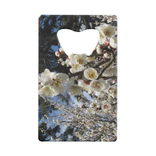Fleur de cerisier blanc / Sakura / ク(桜) (Dos)