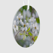 Fleur de cerisier blanche (devant)