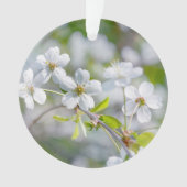 Fleur de cerisier blanche (devant)