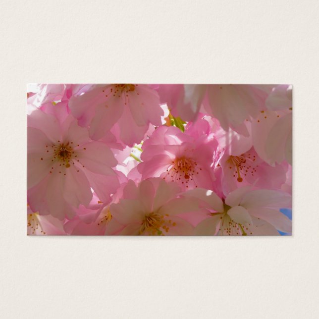 Fleur de cerisier japonaise (Devant)