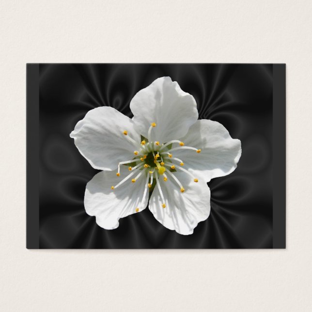Fleur de cerisiers ~ ATC (Devant)