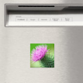 Fleur de chardon pourpre Magnet (In Situ (Lave-vaisselle))