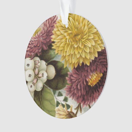 Fleur de chrysanthème mère florale (devant)