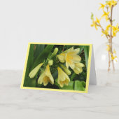Fleur de clivea jaune avec carte de bordure jaune (Fleur jaune)