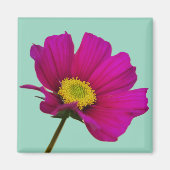 Fleur de Cosmos Aimant (Devant)