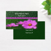 Fleur de Cosmos rose vif (Bureau)