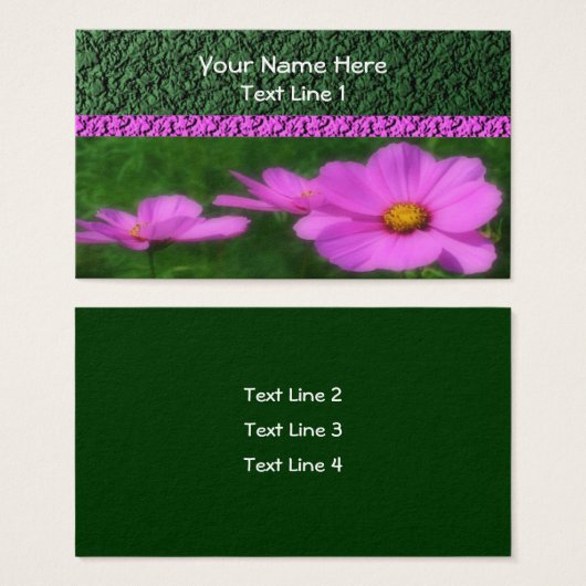 Fleur de Cosmos rose vif (Devant & derrière)