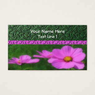 Fleur de Cosmos rose vif