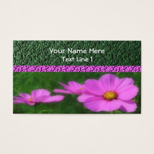 Fleur de Cosmos rose vif (Devant)