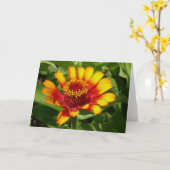 Fleur de couverture indienne - carte de voeux (Fleur jaune)