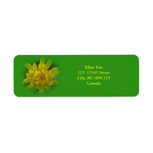 Fleur de dandelion de printemps, étiquettes verts (Devant)