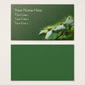 Fleur de Dogwood Blanc Florales (Devant & derrière)