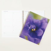 Fleur de fleurs bleues de Violet Saintpaulia Zoomé (Devant avec enveloppe)