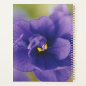 Fleur de fleurs bleues de Violet Saintpaulia Zoomé (Dos)