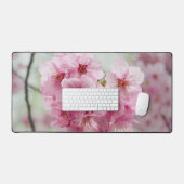 Fleur de fleurs de cerisier rose, Photographie de  (Clavier et souris)