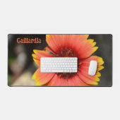 Fleur de Gaillardia colorée brillante (Clavier et souris)