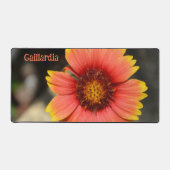 Fleur de Gaillardia colorée brillante (Recto)