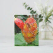 Fleur de gingembre avec carte postale (Debout devant)
