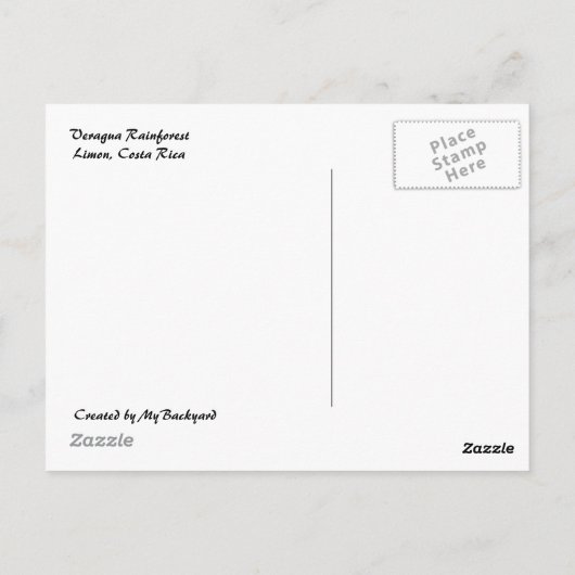 Fleur de gingembre avec carte postale (Dos)