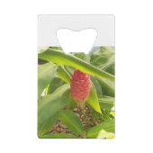 Fleur de gingembre de shampooing (Dos)