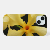 Fleur de jasmin étoile ipha (Verso Horizontal)