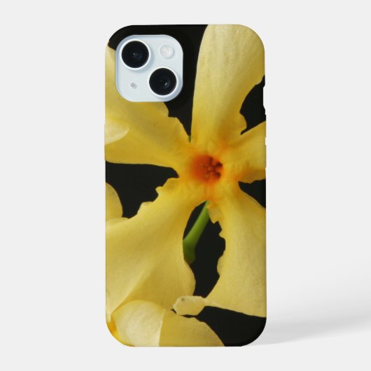 Fleur de jasmin étoile ipha (Verso)