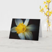 Fleur de jonquille dans la carte d'éclairage (Fleur jaune)