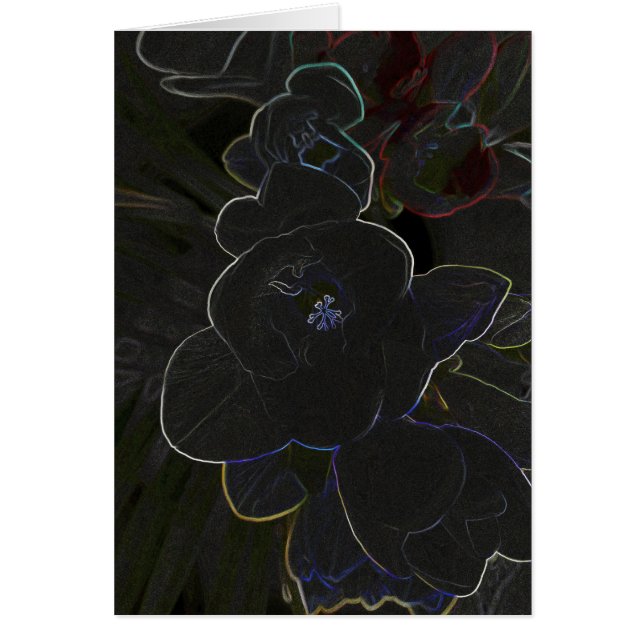 fleur de la frénésie (Devant)