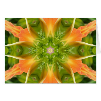 Fleur de la Paix Mandala