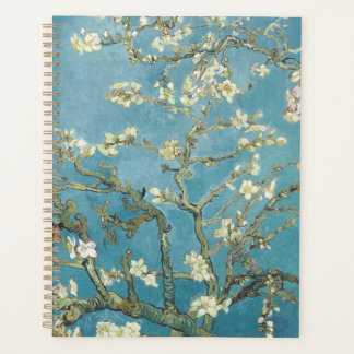 Fleur de l'amandier