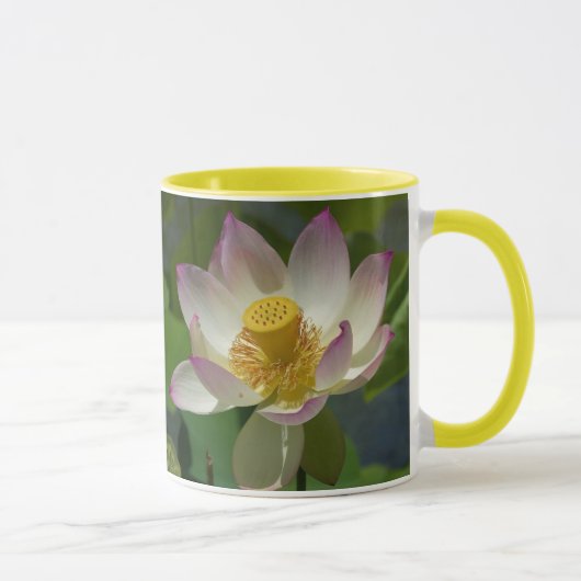 fleur de lilly sur la tasse de ringer d'eau (Droite)